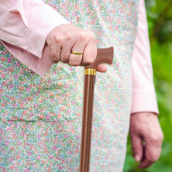 Hiking and walking cane for seniors