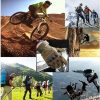 Anti-slip tactical gloves for cycling, hunting, and survival training