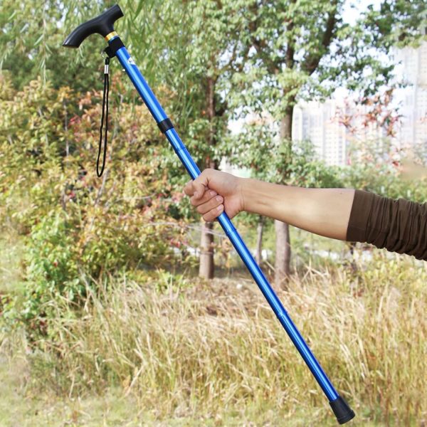 Black adjustable cane standing upright